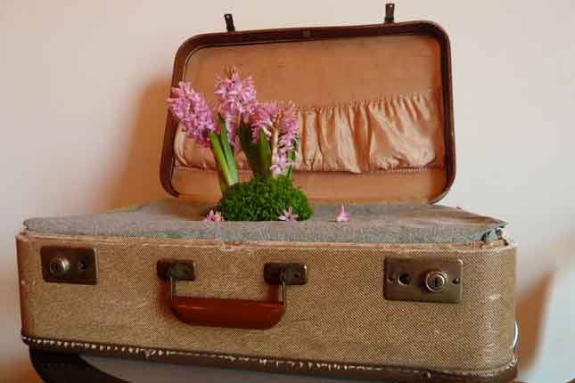 Permalink to Packing list and travel tips old style open suitcase with planted spring flowers