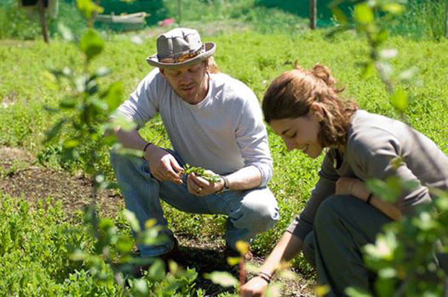 Permalink to Green Holidays and volunteering holidays Green holidays and volunteering holidays