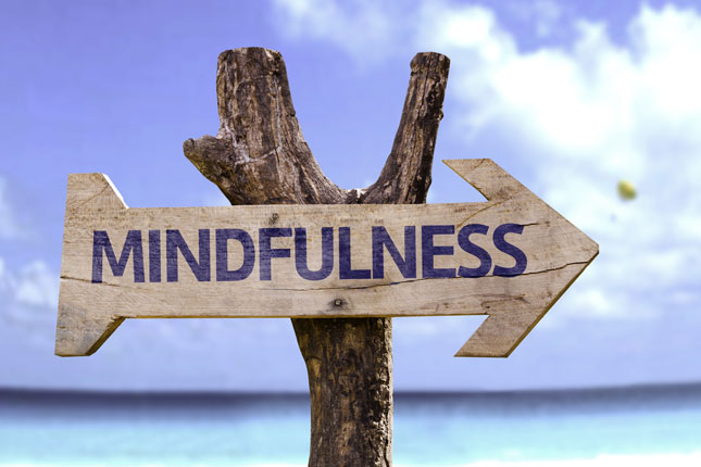 Mindfulness holidays