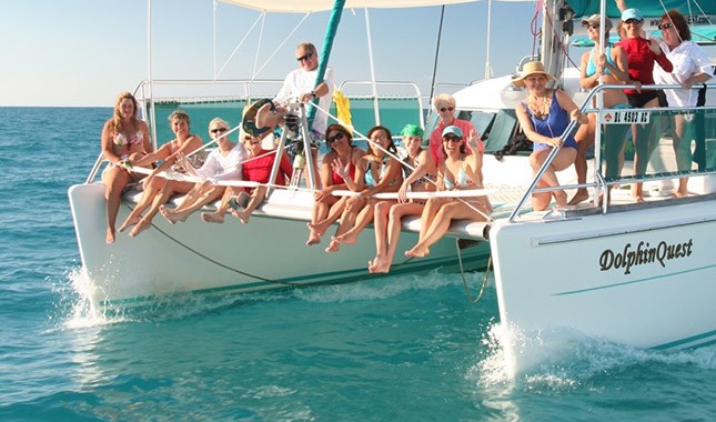 Luxury retreats: Swim with wild dolphins in the Bahamas, with Atmoji Wild Quest