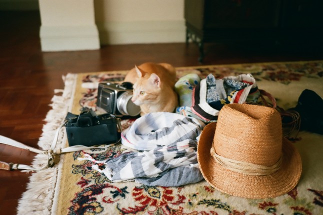 Travel apps to help you plan your trip (c) Keico Taguchi