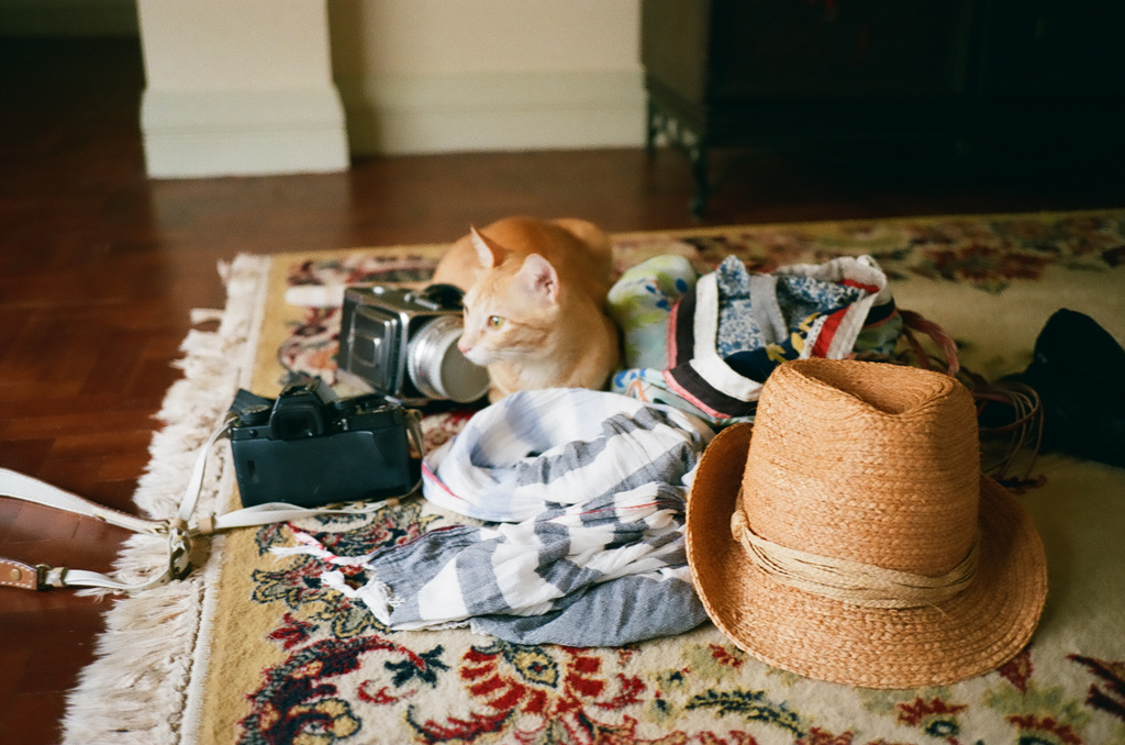 Permalink to 5 apps to help you plan your trip – Travel apps reviews Travel apps to help you plan your trip (c) Keico Taguchi