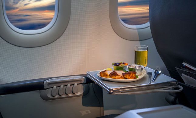 free Inflight meals