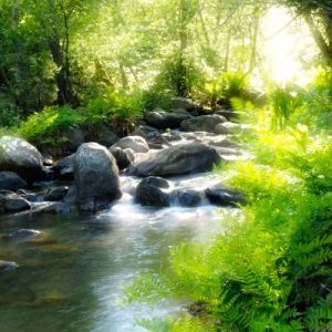 Shamanic Healing, Yoga, Detox Retreat, Dartmoor, UK