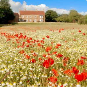 Wellbeing and Life-changing Retreats in North Yorkshire, UK