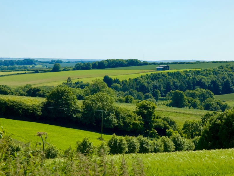 Rural retreats UK, in Dorset with Mellulah