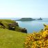 coastal view of beach and island in Wales ©USp Neals Yard Holidays