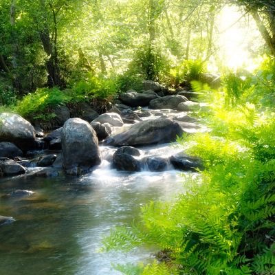 the best of the summer retreat offers: stream in Devon