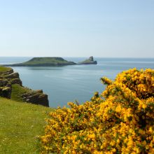 Ayurveda and Yoga Retreat, UK