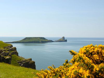 Seaview with goarse near Ayurveda Yoga Retreat UK