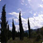 Neal's Yard Holidays in Europe