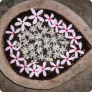 Creativity and Dance Holidays