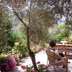 250 x 250 white > HY_siesta_cNYA 250 x 250 white > HY_siesta_cNYA