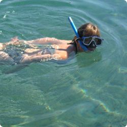 250 x 250 white > HY_snorkel 250 x 250 white > HY_snorkel