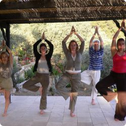 Yoga retreats