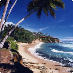 South Coast Ayurveda Resort