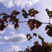 Other Holidays - family, spiritual, etc Other Holidays - family, spiritual, etc