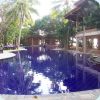 Swimming Pool surrounded by palm trees