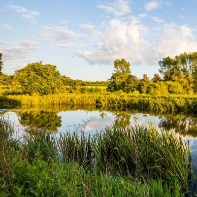 Wellbeing, Yoga and Detox Retreats in Norfolk, England, UK