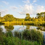 view of lake and greenery with blue sky